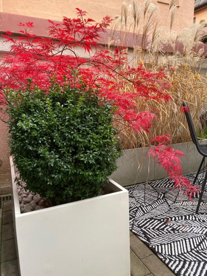 Como Design-Apartment Close To Isar River Area - Centrally Located Munique Exterior foto